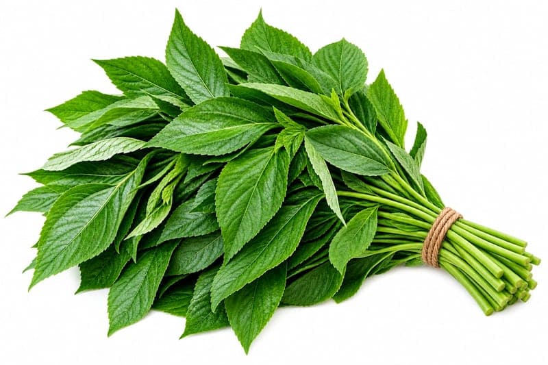 ملوخية
