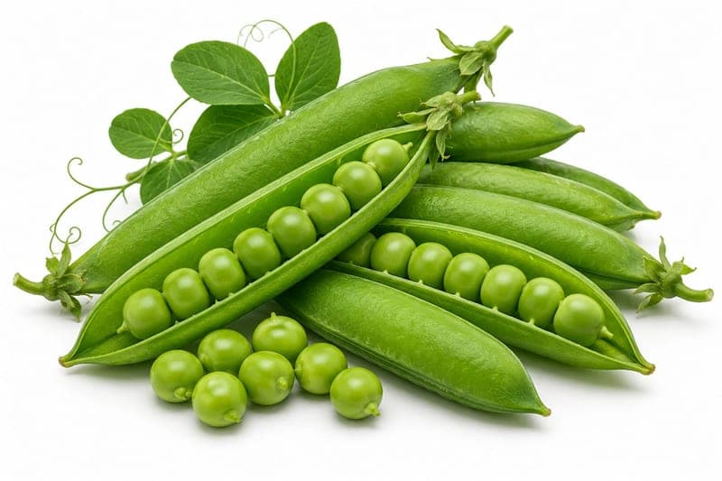 بسلة جاهزة