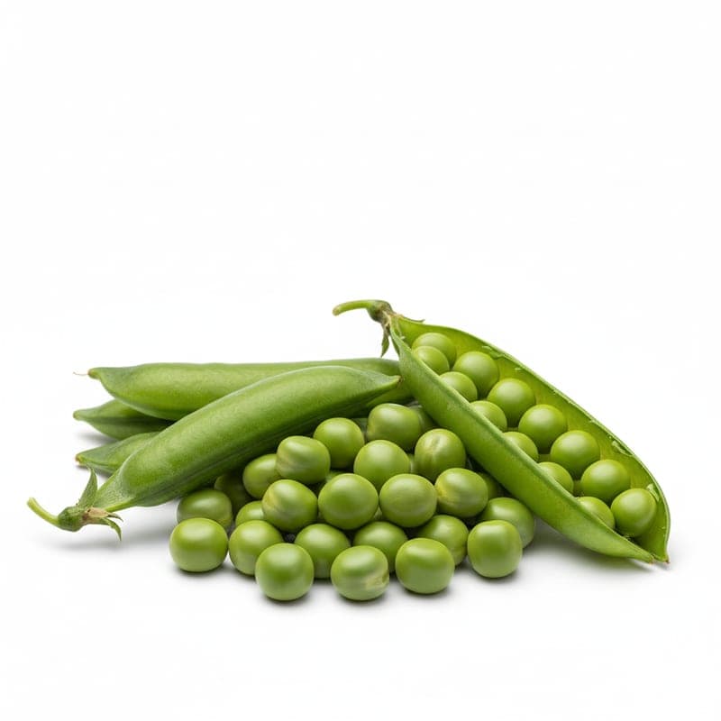 بسلة