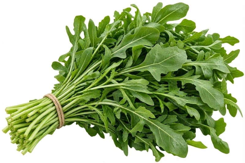 جرجير