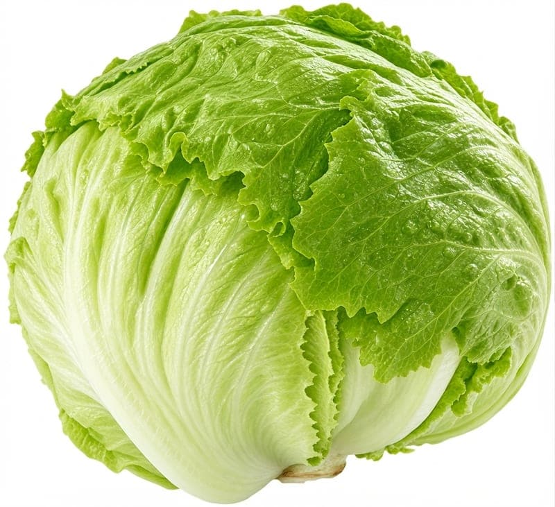 كابوتشا