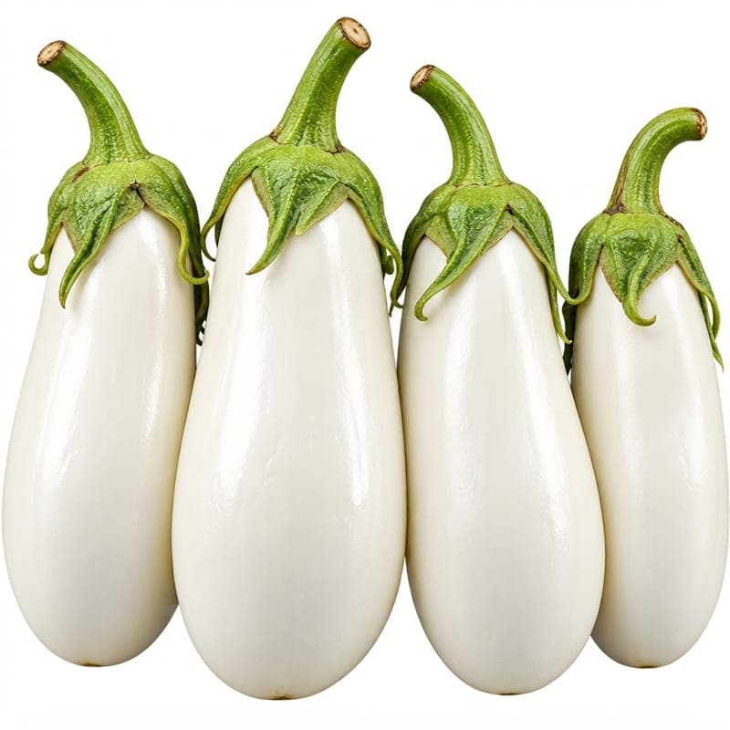 باذنجان ابيض