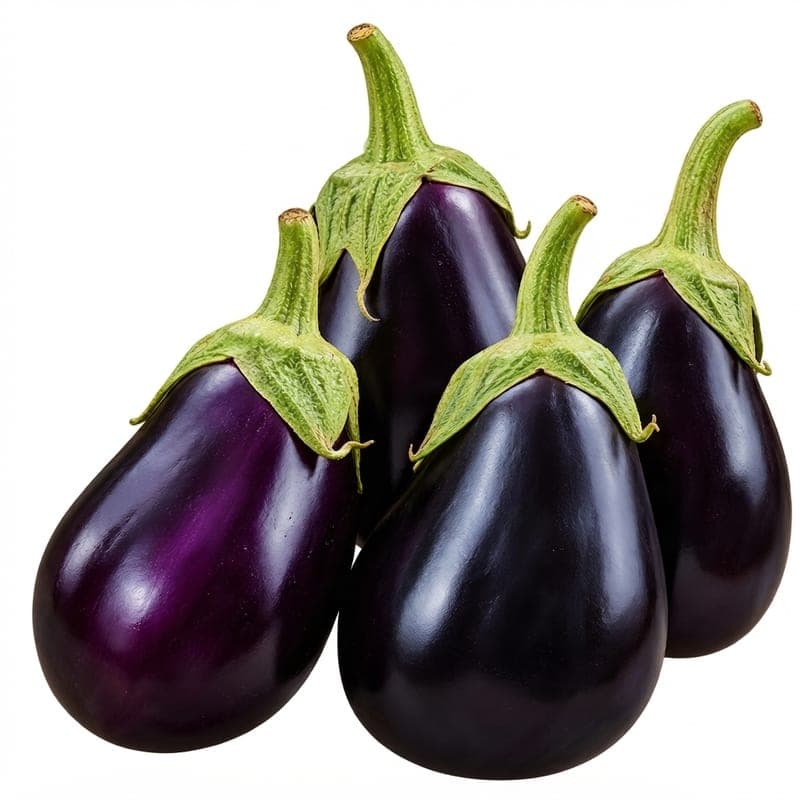 باذنجان رومي