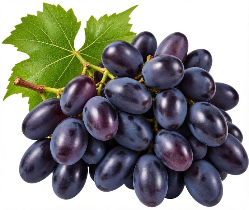 عنب اسود