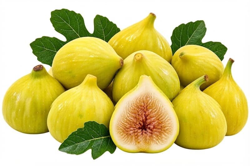 تين اصفر