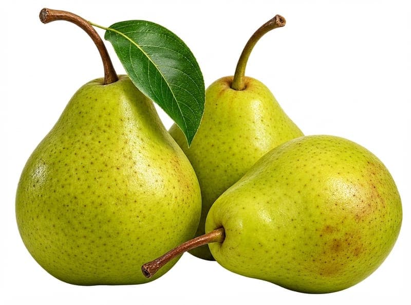 كمثري خشابي