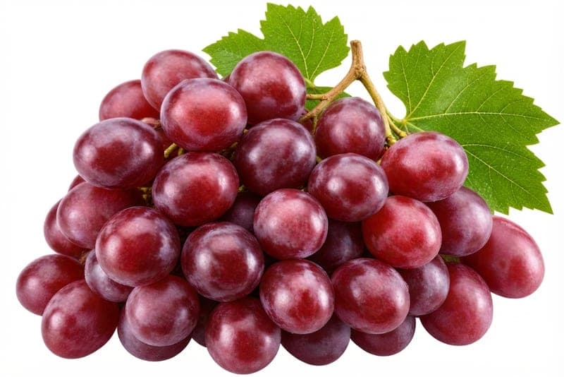 عنب كرمسن
