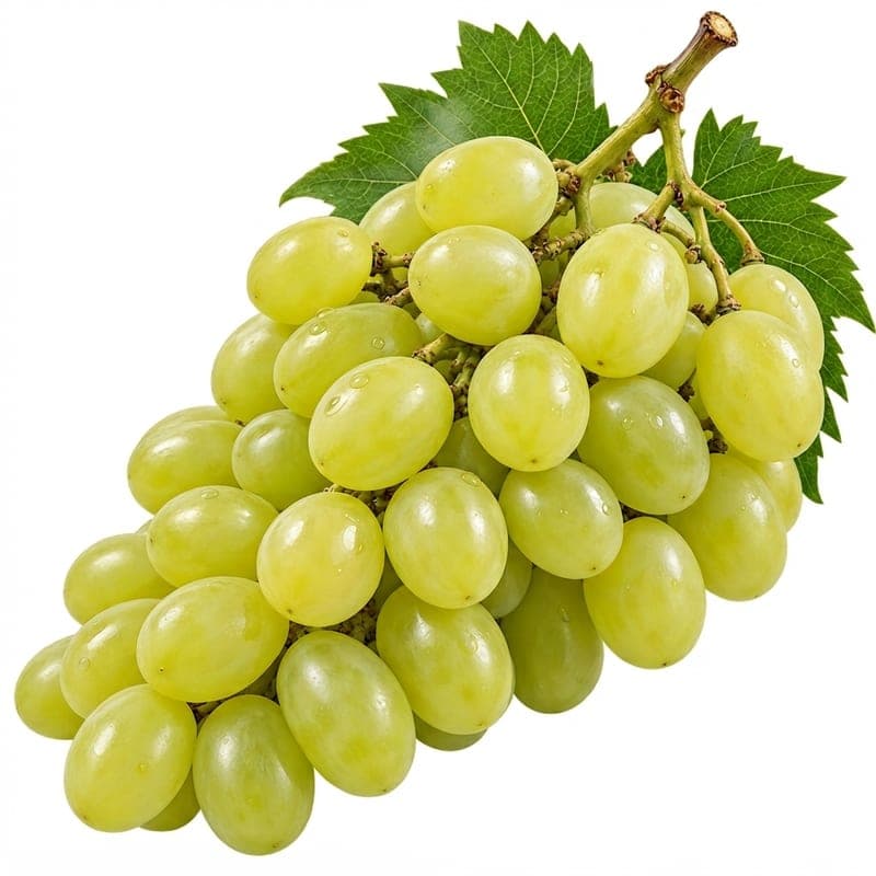 عنب ابيض