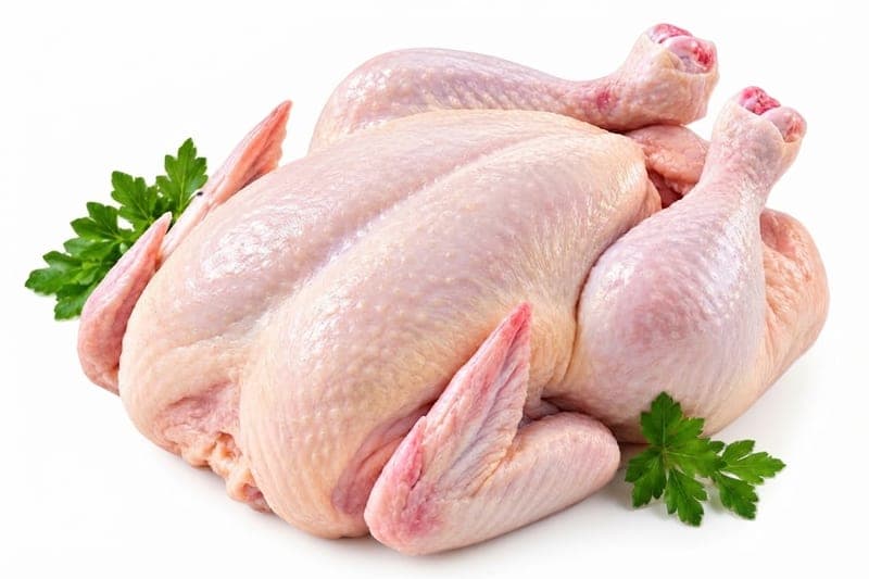 فراخ بيضاء