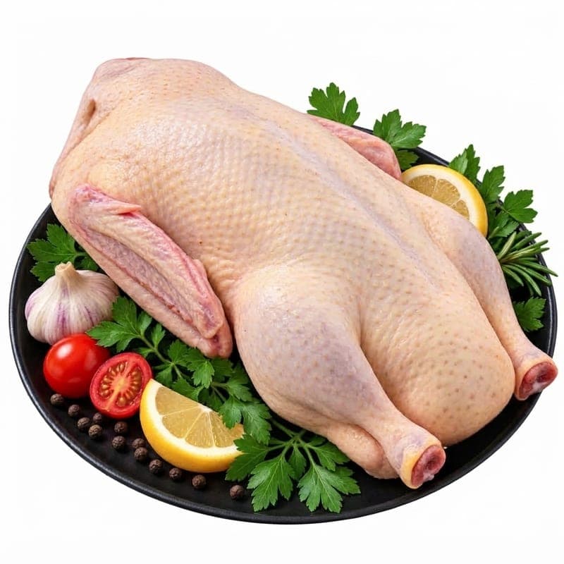 بط بلدي